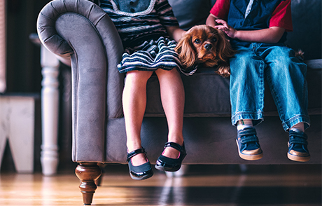 Как выбрать обивку для дивана?